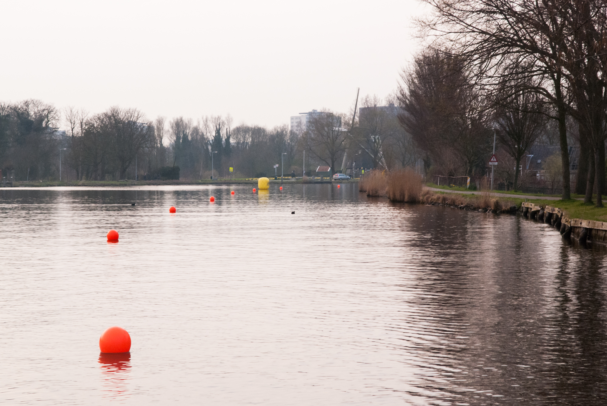 MerijnSoeters-lr-9484